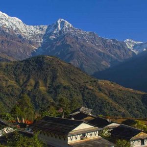 A Soft Adventure Tour - NARSINGHA