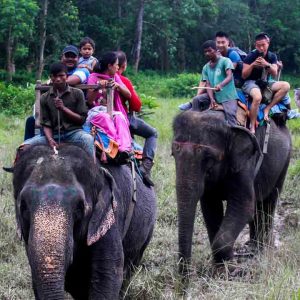 Nature & Safari With Heritage Tour