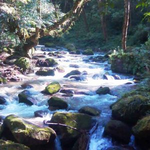 KATHMANDU VALLEY - NAGARJUNA HIKING