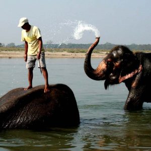 Comfort Couch - Luxury Tour